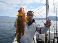 IMG_4543.jpg