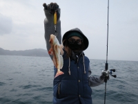 IMG_4800.jpg
