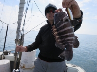 IMG_4990.jpg