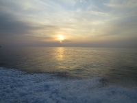 IMG_5031.jpg