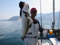 IMG_5037.jpg