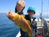 IMG_5135.jpg