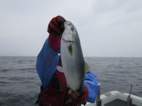 IMG_5278.jpg