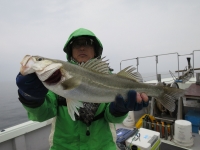 IMG_5279.jpg