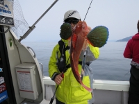 IMG_5287.jpg