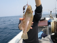 IMG_5368.jpg