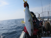 IMG_5432.jpg