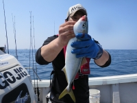 IMG_5443.jpg
