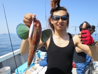 IMG_5533.jpg