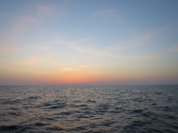 IMG_5552.jpg