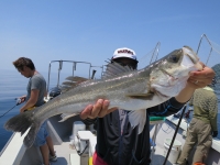 IMG_5752.jpg