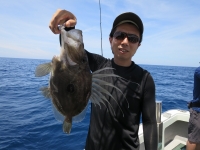 IMG_5979.jpg