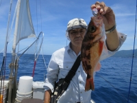 IMG_5982.jpg