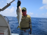 IMG_6230.jpg
