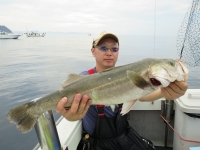 IMG_6275.jpg