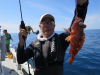 IMG_6290.jpg