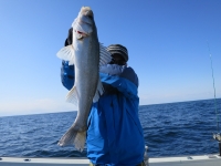 IMG_7269.jpg