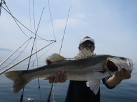 IMG_7606.jpg