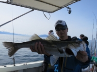 IMG_7639.jpg