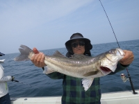 IMG_7715.jpg